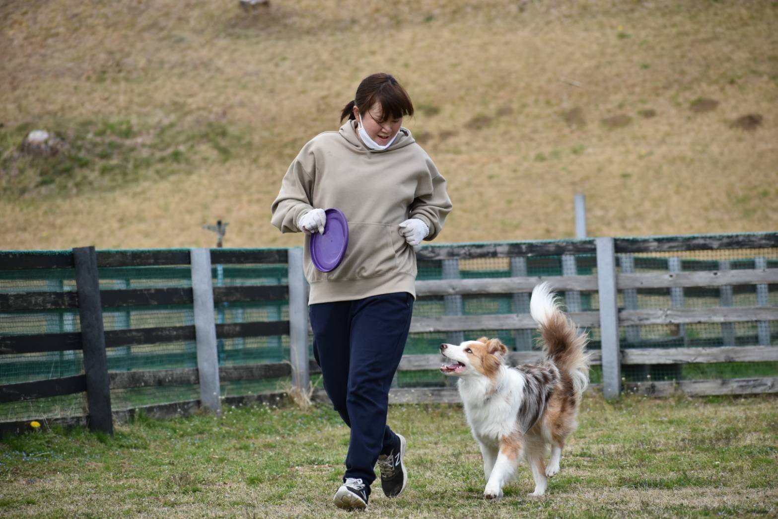 f:id:gussan-belle:20210322142930j:image