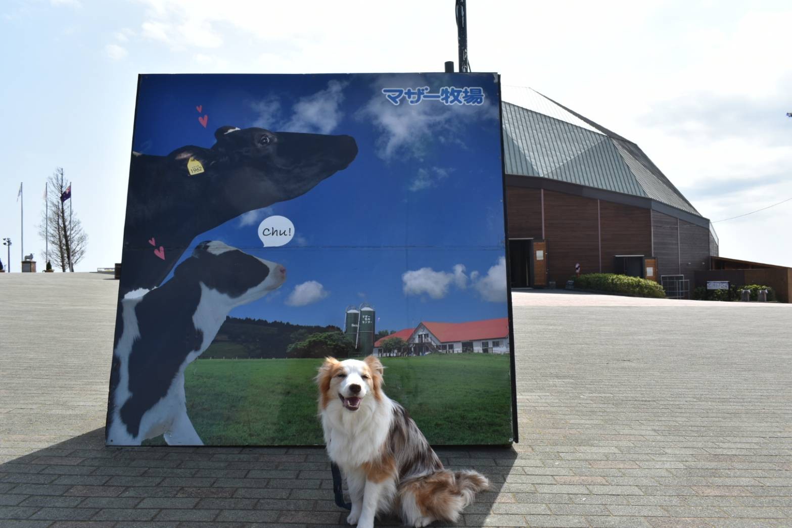 f:id:gussan-belle:20210322143036j:image