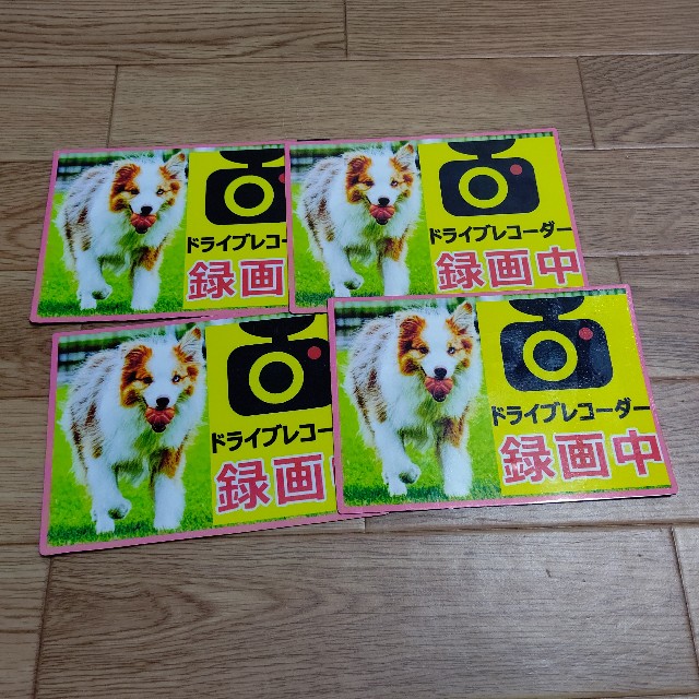 f:id:gussan-belle:20210324100800j:image