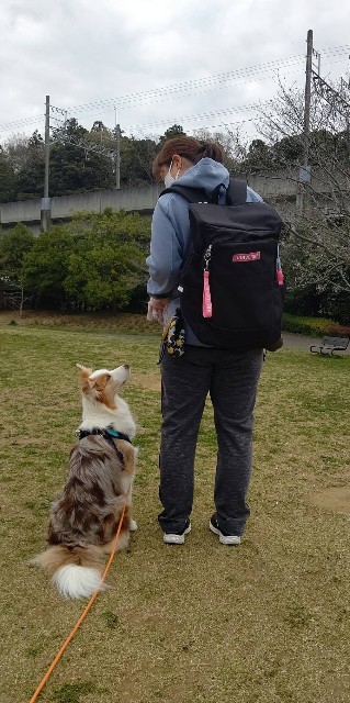 f:id:gussan-belle:20210325111209j:image