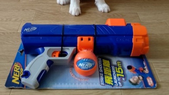 f:id:gussan-belle:20210325111224j:image