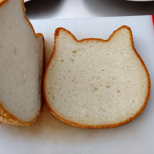 f:id:gussan-belle:20210326151019j:image