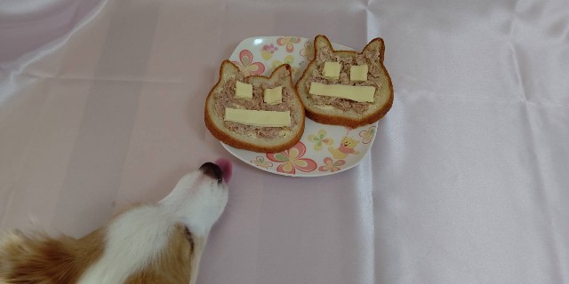 f:id:gussan-belle:20210326151512j:image