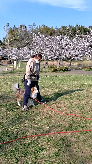 f:id:gussan-belle:20210327102520j:image f:id:gussan-belle:20210327102520j:image