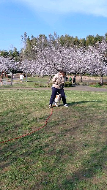 f:id:gussan-belle:20210327102615j:image f:id:gussan-belle:20210327102615j:image