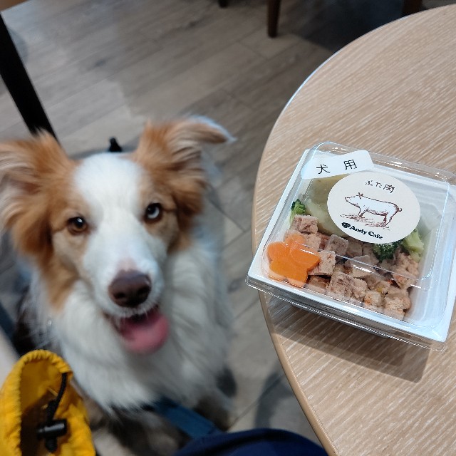 f:id:gussan-belle:20210328183625j:image f:id:gussan-belle:20210328183625j:image