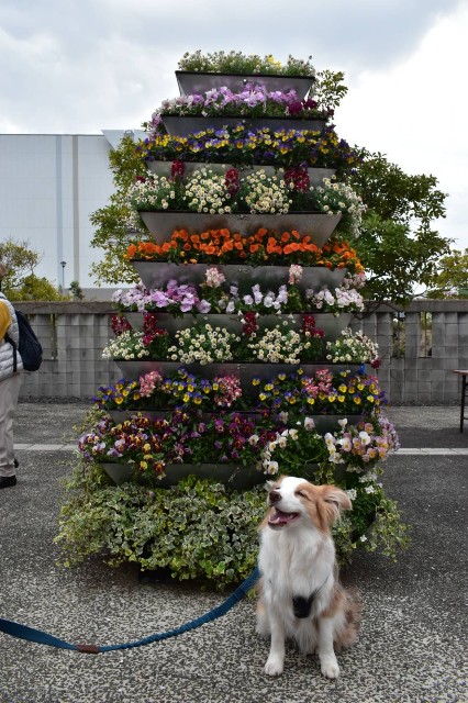 f:id:gussan-belle:20210328183652j:image f:id:gussan-belle:20210328183652j:image