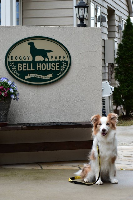 f:id:gussan-belle:20210329185454j:image f:id:gussan-belle:20210329185454j:image