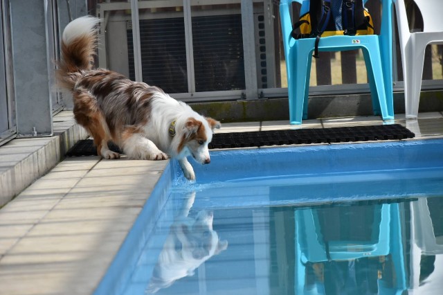 f:id:gussan-belle:20210331102119j:image