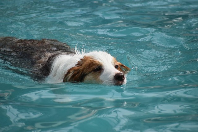 f:id:gussan-belle:20210331102156j:image