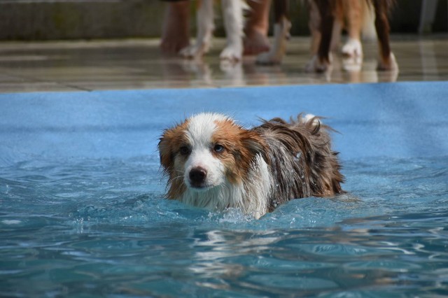 f:id:gussan-belle:20210331102209j:image