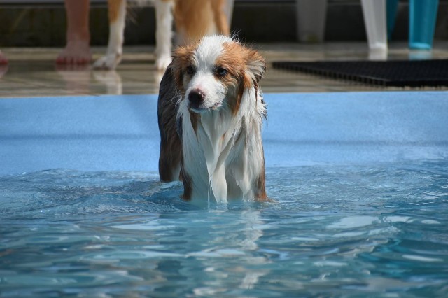 f:id:gussan-belle:20210331102231j:image