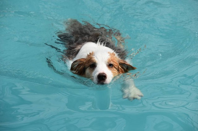 f:id:gussan-belle:20210331102250j:image