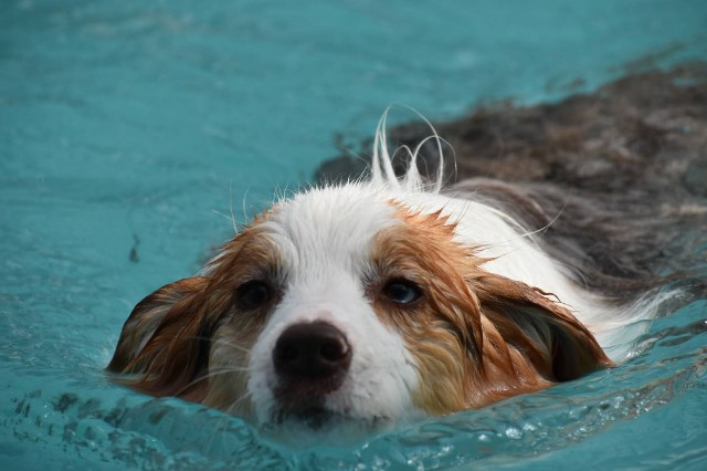 f:id:gussan-belle:20210331102307j:image