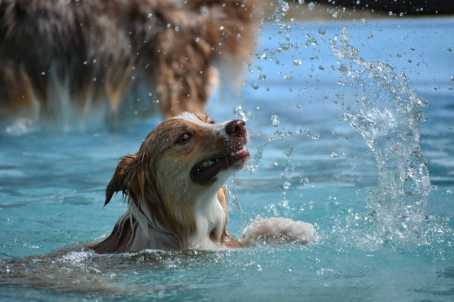 f:id:gussan-belle:20210331102341j:image