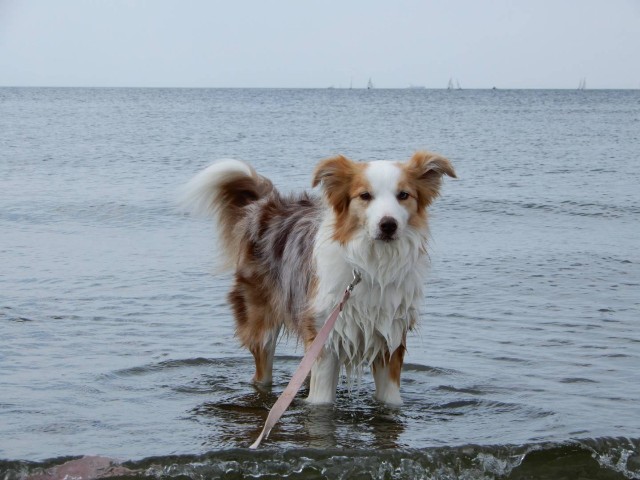 f:id:gussan-belle:20210404112540j:image