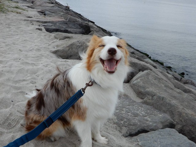 f:id:gussan-belle:20210404112614j:image