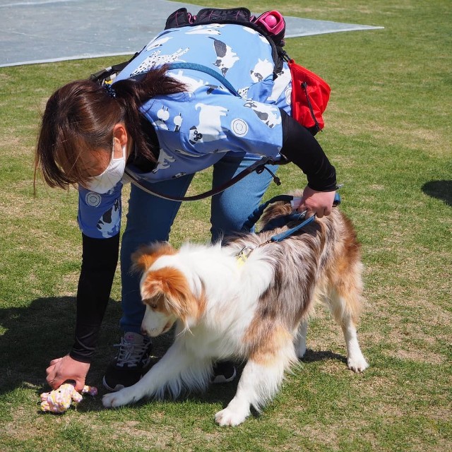 f:id:gussan-belle:20210412102726j:image f:id:gussan-belle:20210412102726j:image