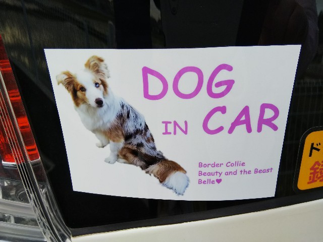 f:id:gussan-belle:20210508100103j:image