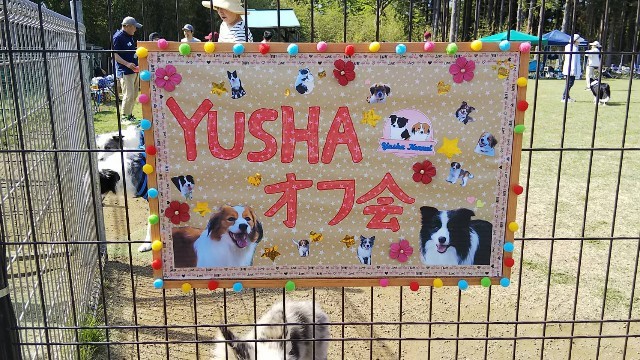 f:id:gussan-belle:20210508100118j:image