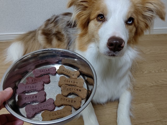 f:id:gussan-belle:20210509153601j:image f:id:gussan-belle:20210509153601j:image