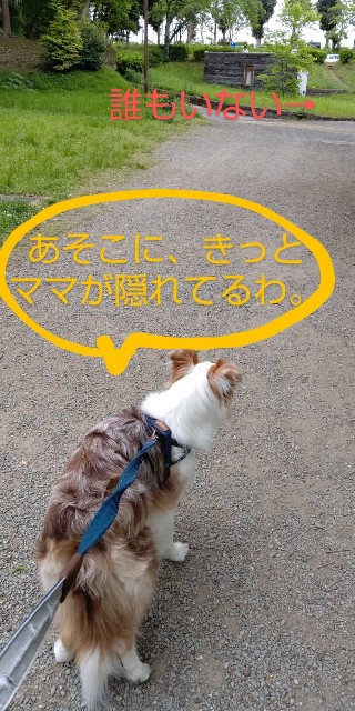 f:id:gussan-belle:20210514101940j:image