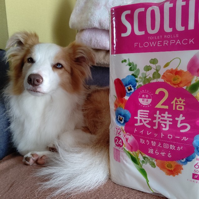 f:id:gussan-belle:20210603072708j:image f:id:gussan-belle:20210603072708j:image