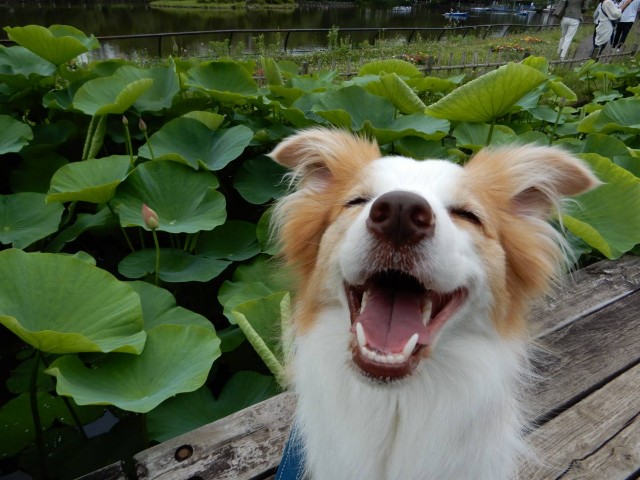 f:id:gussan-belle:20210608080622j:image f:id:gussan-belle:20210608080622j:image