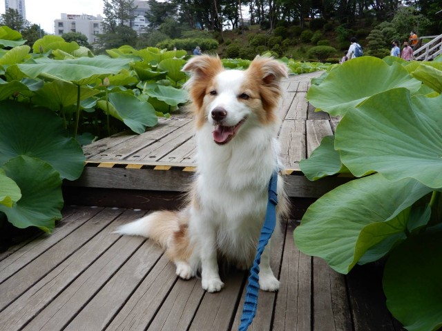 f:id:gussan-belle:20210608080732j:image f:id:gussan-belle:20210608080732j:image