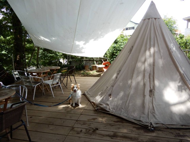 f:id:gussan-belle:20210609090405j:image f:id:gussan-belle:20210609090405j:image