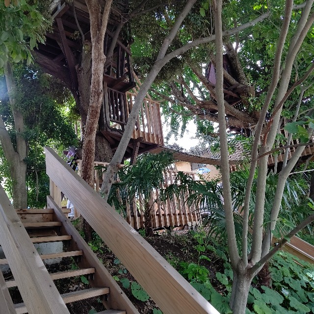 f:id:gussan-belle:20210609090432j:image f:id:gussan-belle:20210609090432j:image