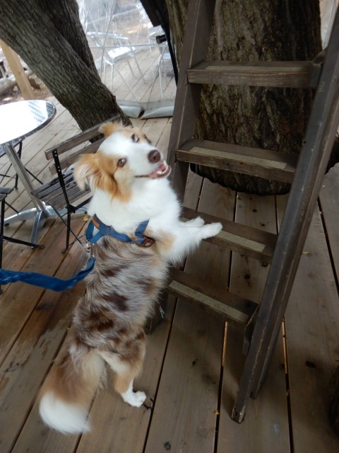 f:id:gussan-belle:20210609090504j:image f:id:gussan-belle:20210609090504j:image