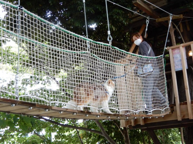 f:id:gussan-belle:20210609090624j:image f:id:gussan-belle:20210609090624j:image