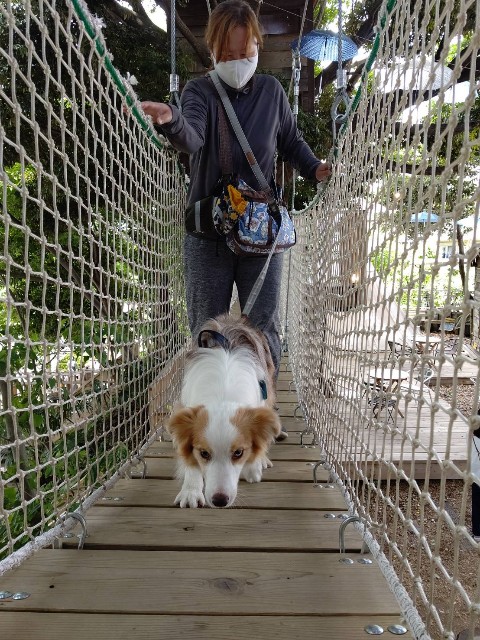 f:id:gussan-belle:20210609090739j:image f:id:gussan-belle:20210609090739j:image