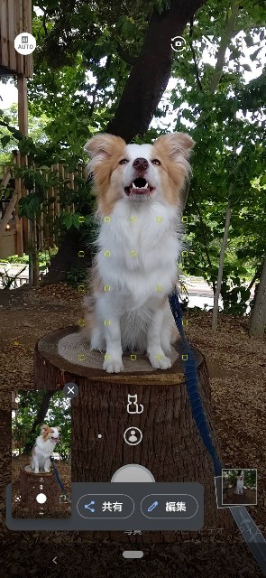 f:id:gussan-belle:20210609090933j:image f:id:gussan-belle:20210609090933j:image