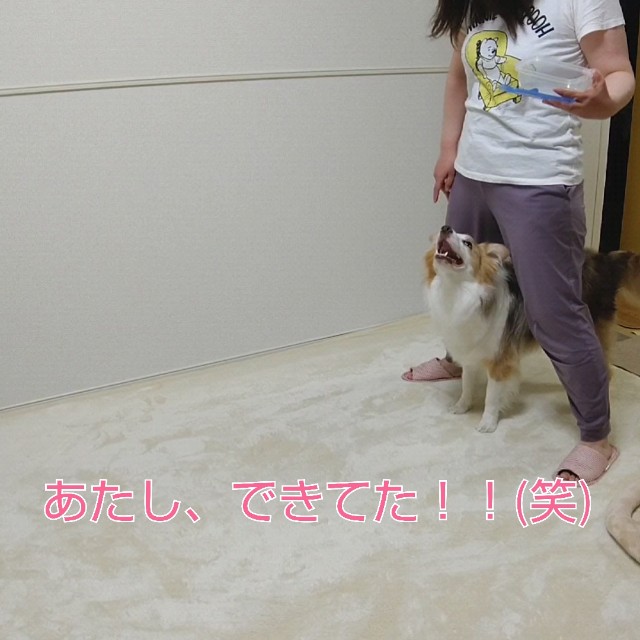 f:id:gussan-belle:20210611091046j:image f:id:gussan-belle:20210611091046j:image