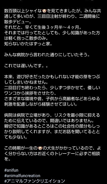 f:id:gussan-belle:20210612213705j:image