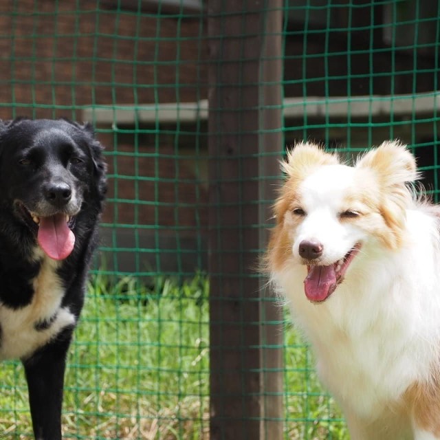 f:id:gussan-belle:20210613114752j:image f:id:gussan-belle:20210613114752j:image