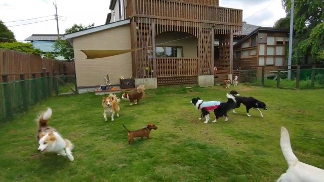 f:id:gussan-belle:20210613115013j:image f:id:gussan-belle:20210613115013j:image