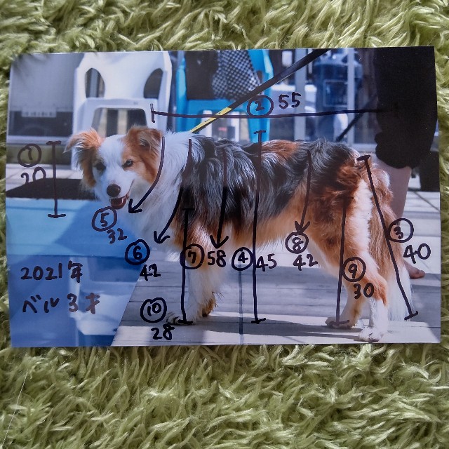 f:id:gussan-belle:20210620113912j:image f:id:gussan-belle:20210620113912j:image