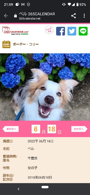 f:id:gussan-belle:20210625091409j:image