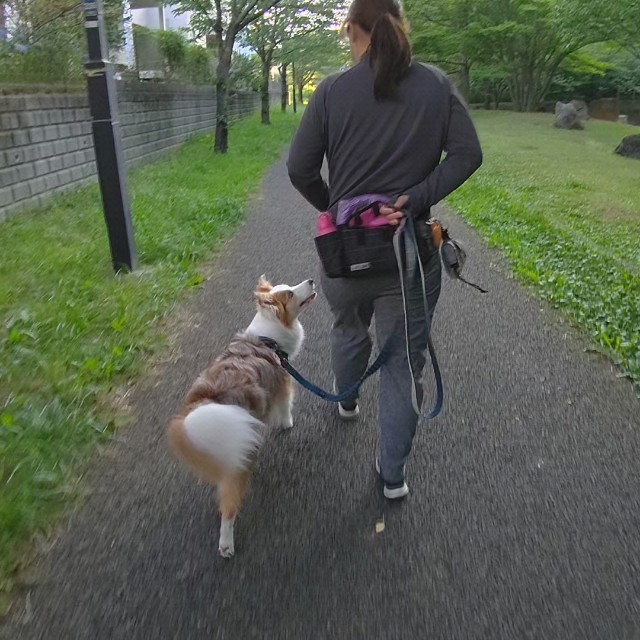 f:id:gussan-belle:20210628084054j:image f:id:gussan-belle:20210628084054j:image