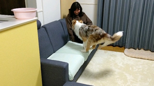 f:id:gussan-belle:20210709080022j:image