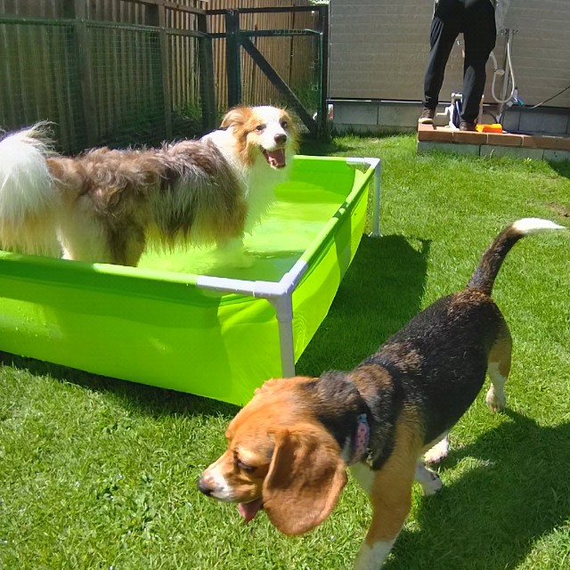 f:id:gussan-belle:20210801184312j:image f:id:gussan-belle:20210801184312j:image