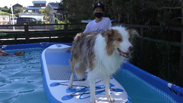 f:id:gussan-belle:20210801184732j:image f:id:gussan-belle:20210801184732j:image