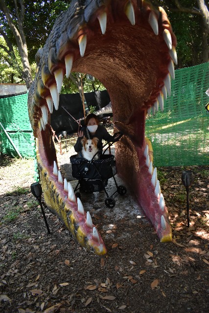 f:id:gussan-belle:20210807094027j:image f:id:gussan-belle:20210807094027j:image