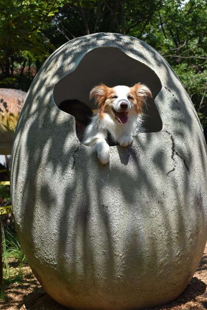 f:id:gussan-belle:20210807094046j:image f:id:gussan-belle:20210807094046j:image