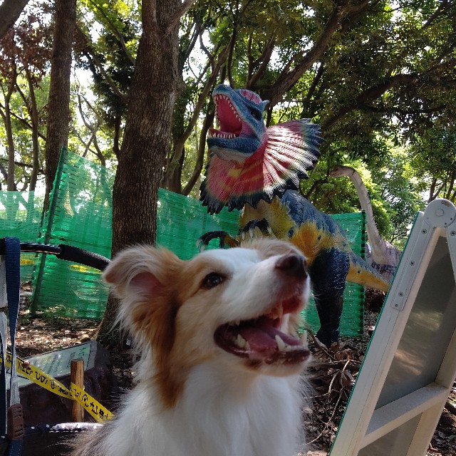 f:id:gussan-belle:20210807094149j:image f:id:gussan-belle:20210807094149j:image