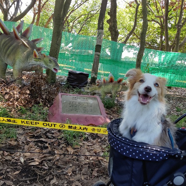 f:id:gussan-belle:20210807094208j:image f:id:gussan-belle:20210807094208j:image