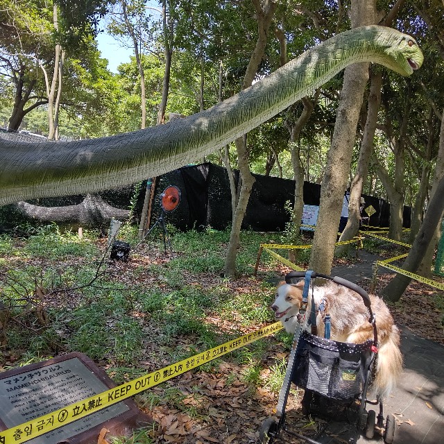 f:id:gussan-belle:20210807094230j:image f:id:gussan-belle:20210807094230j:image